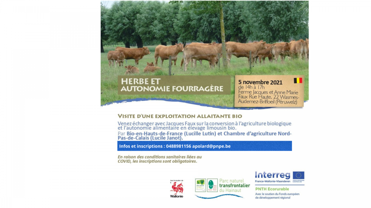 Elevage bovins limousins bio et autonome de la ferme Saint-Michel