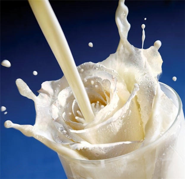 Ce 1er juin, c'est la journée Mondiale du Lait ...