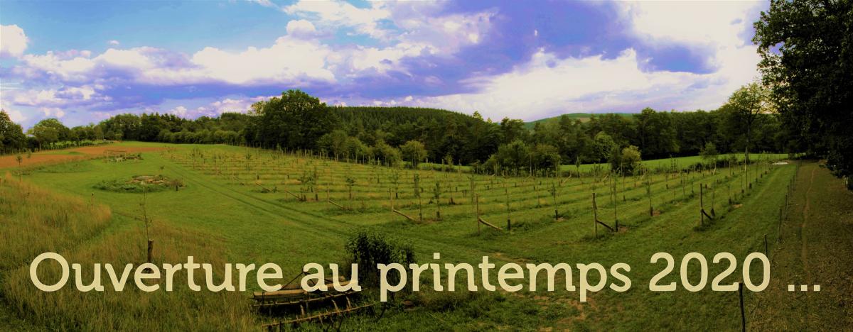 Les Vergers du Wihot