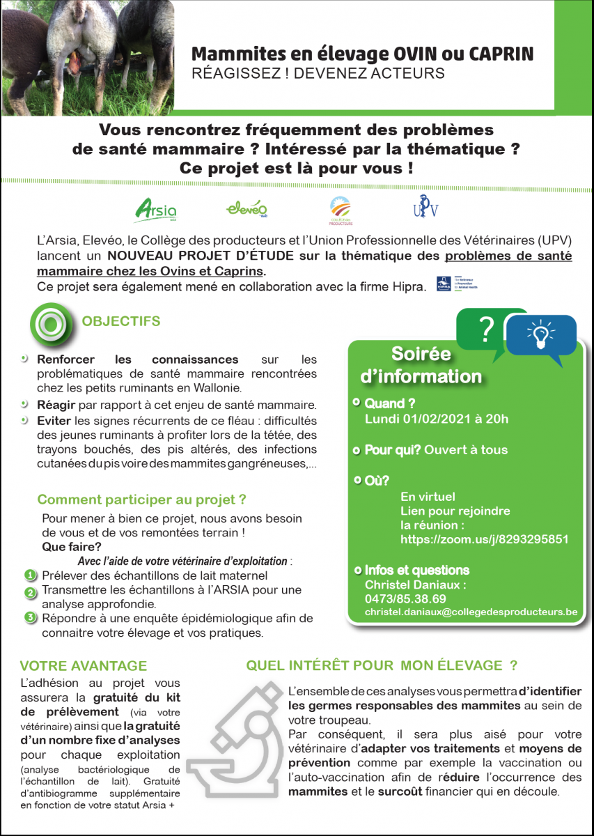 Mammites en élevage ovin et caprin : nouveau projet d’étude et soirée d’information le 01/02
