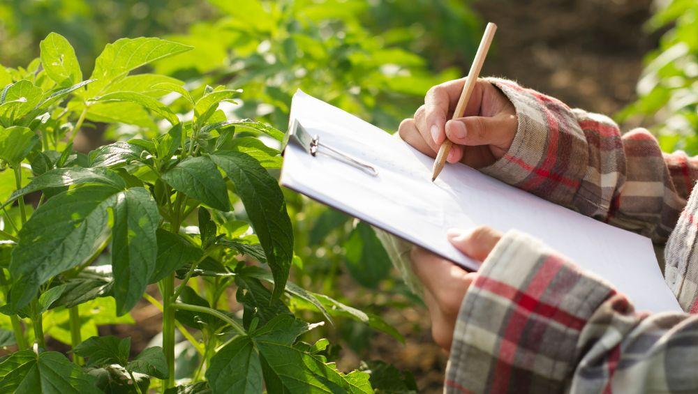 Verlangerung - Umfrage zur Verwaltungsvereinfachung - Landwirte (DE)