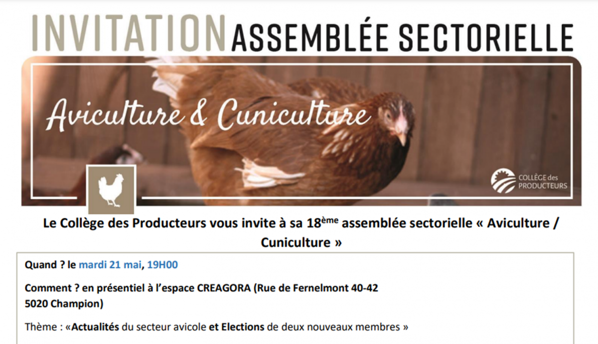 Actualités du secteur avicole : suivi des dossiers