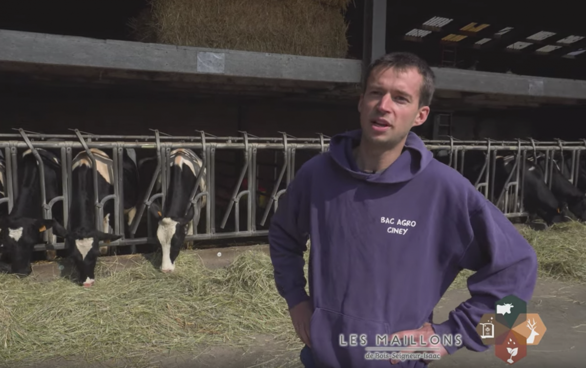 Maillon élevage et agriculture - Ferme de taille familiale - le fils Jonas Pussemier