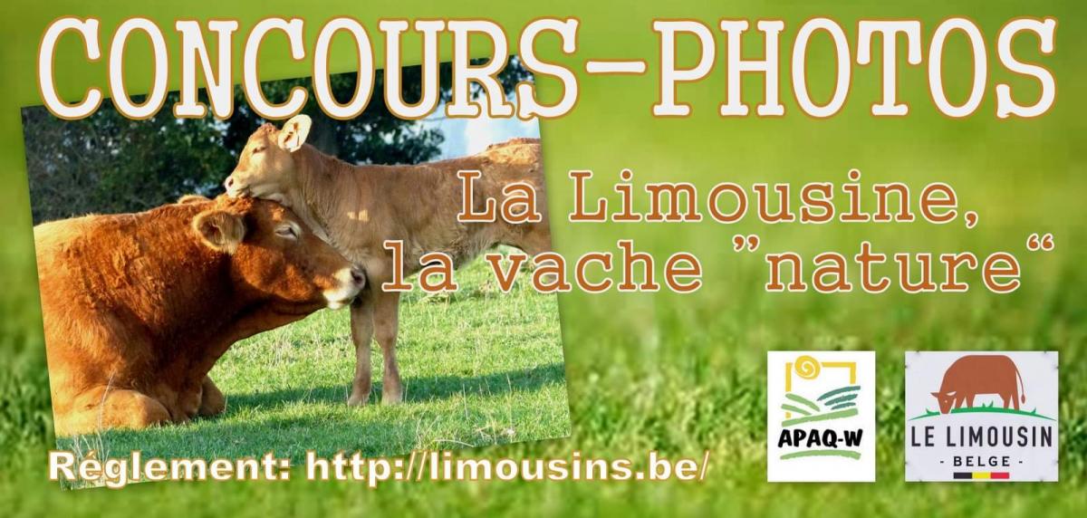 Concours Photos