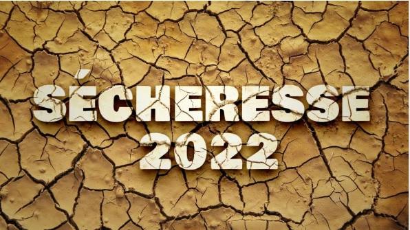 TOUT LE CONTENU SÉCHERESSE 2022 de RTBF Info