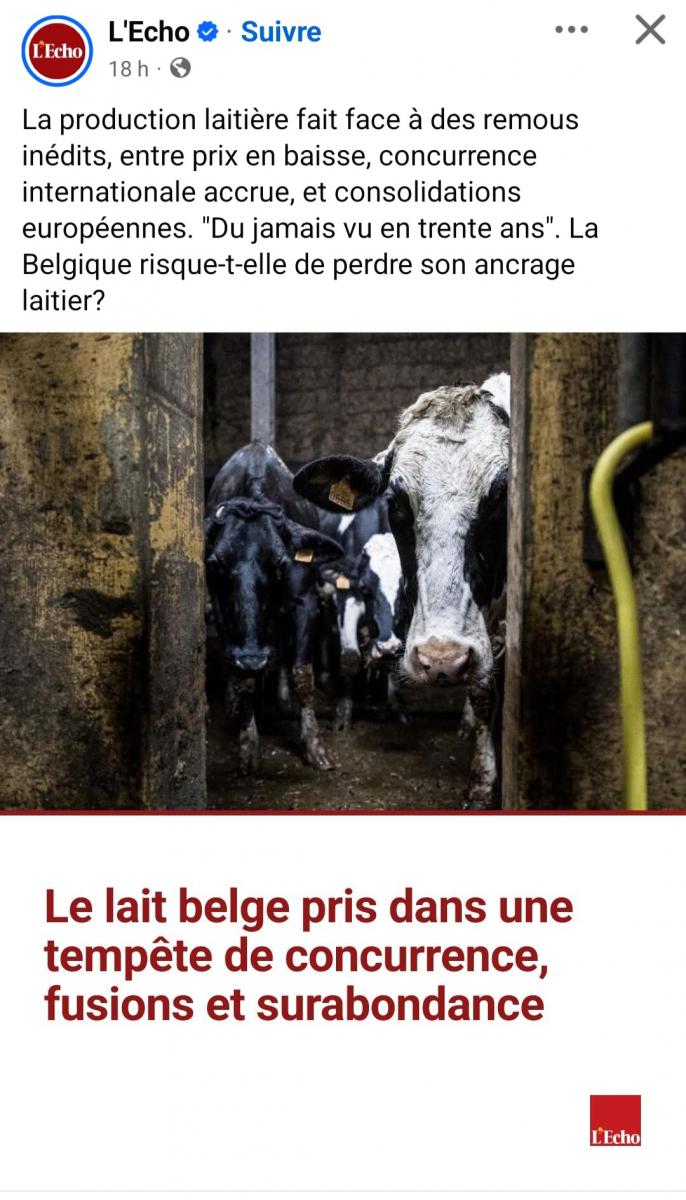 Prix du lait en chute libre