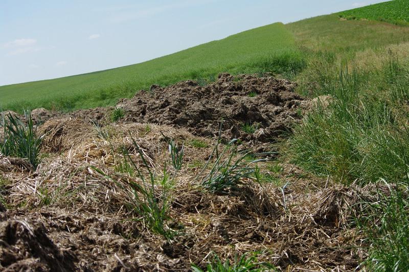 LAGERUNG VON BETRIEBSDÜNGER AM FELD