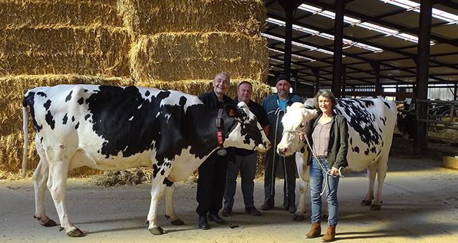 CONTRE LE COVID-19. Les vaches de l’ALPA à la pointe de de la recherche
