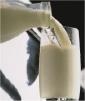 Lait : conjoncture
