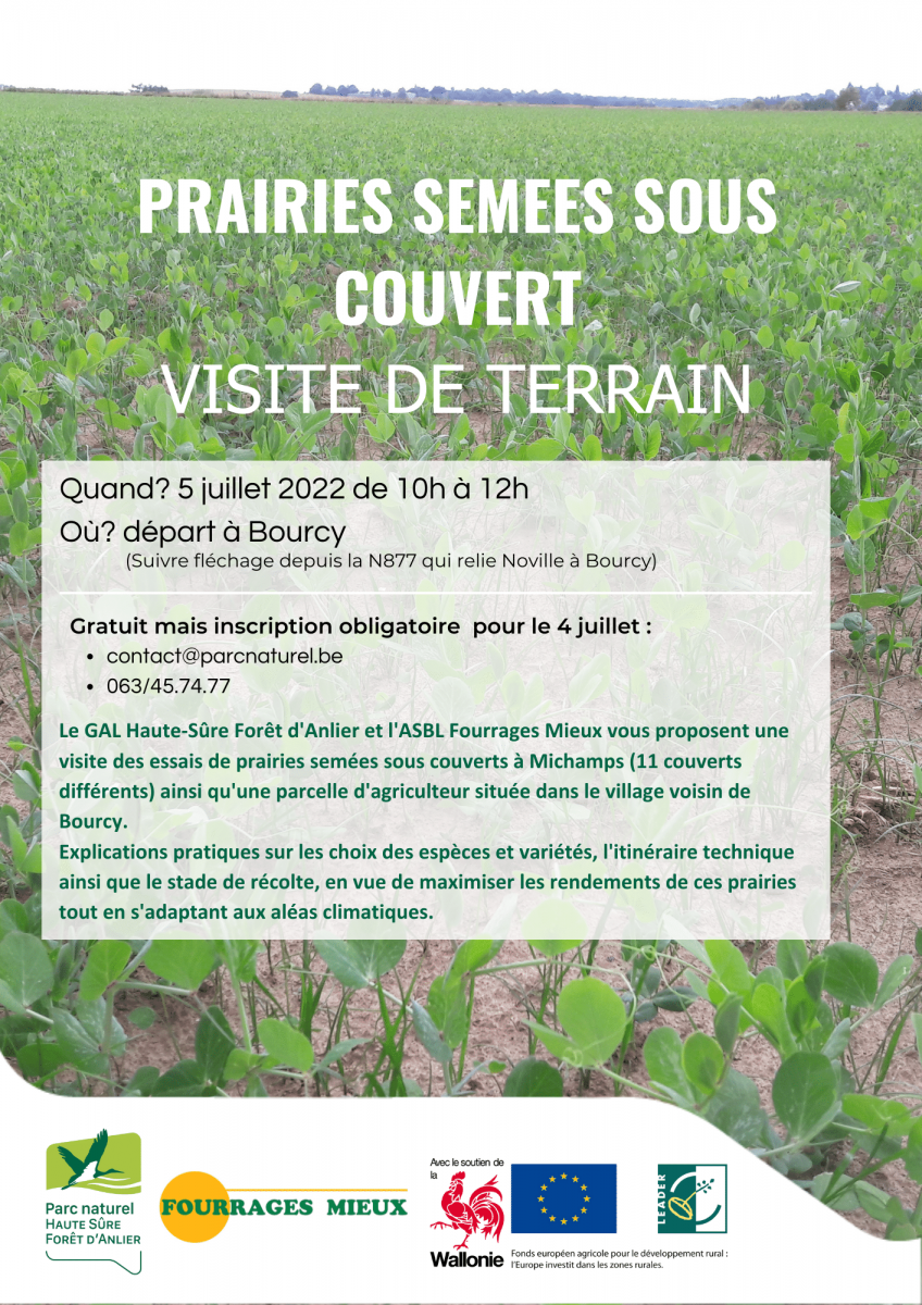 Prairies semées sous couvert - visite de terrain